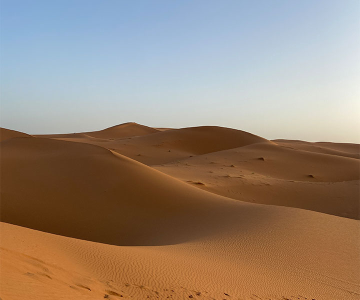 0-galeria_0007_IMG_8655